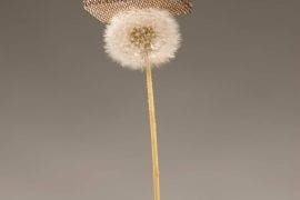 World's lightest metal sitting atop a dandelion fluff