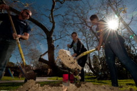 Olivia Grim, Tania Garcia and Rick Ternet planting a tree