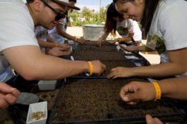 Students plant seed