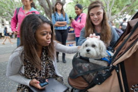 Amanda Quintero and Tawnie Speaker with therapy dog