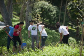 Students planting tree at Middle Earth