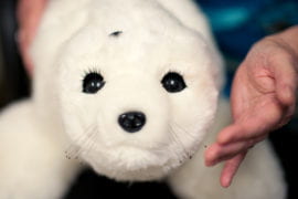 Robotic baby harp seal