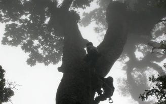 Jessica and Riley Pratt climb a tree