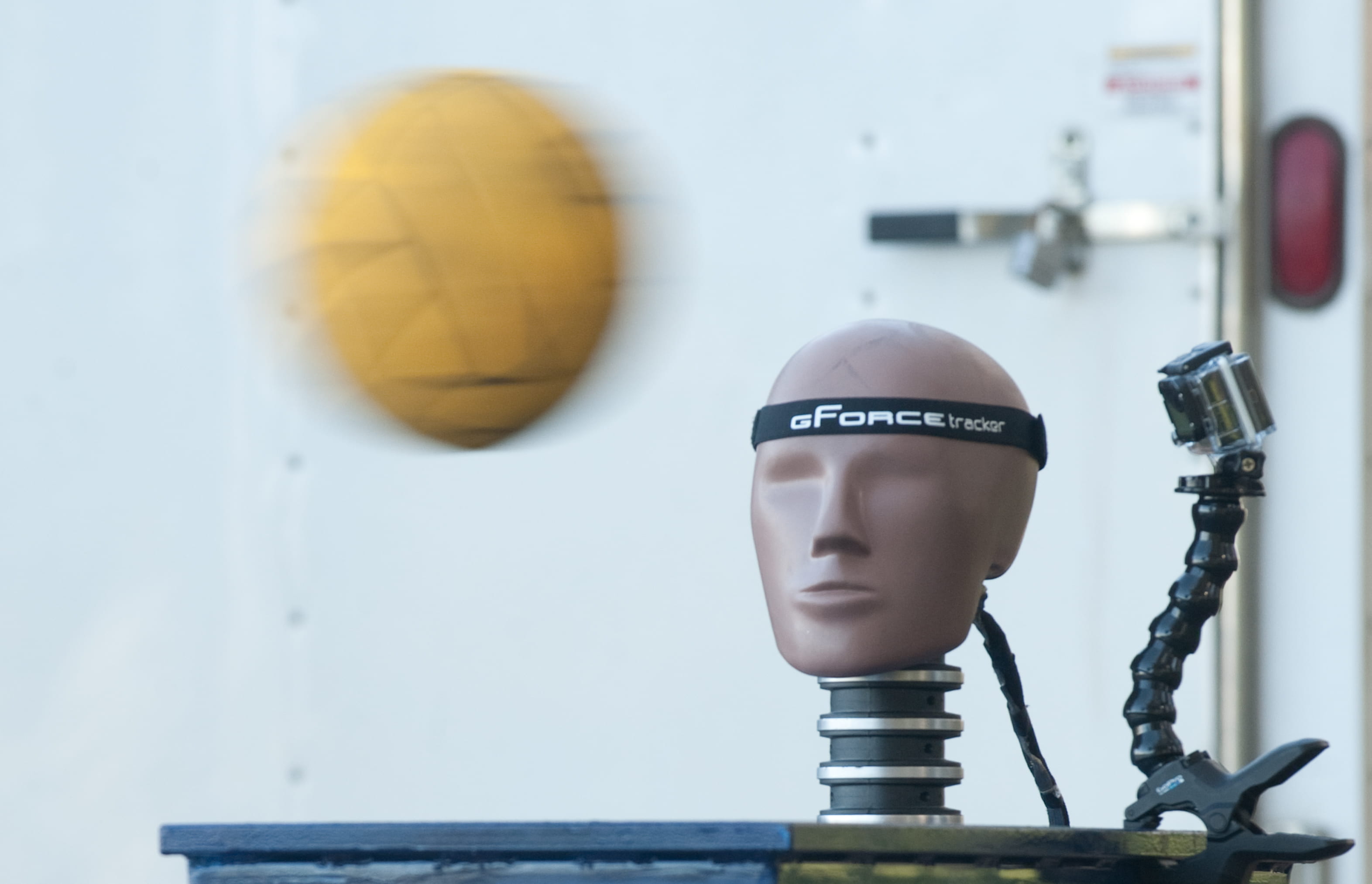 A crash test dummy for a water polo concussion study