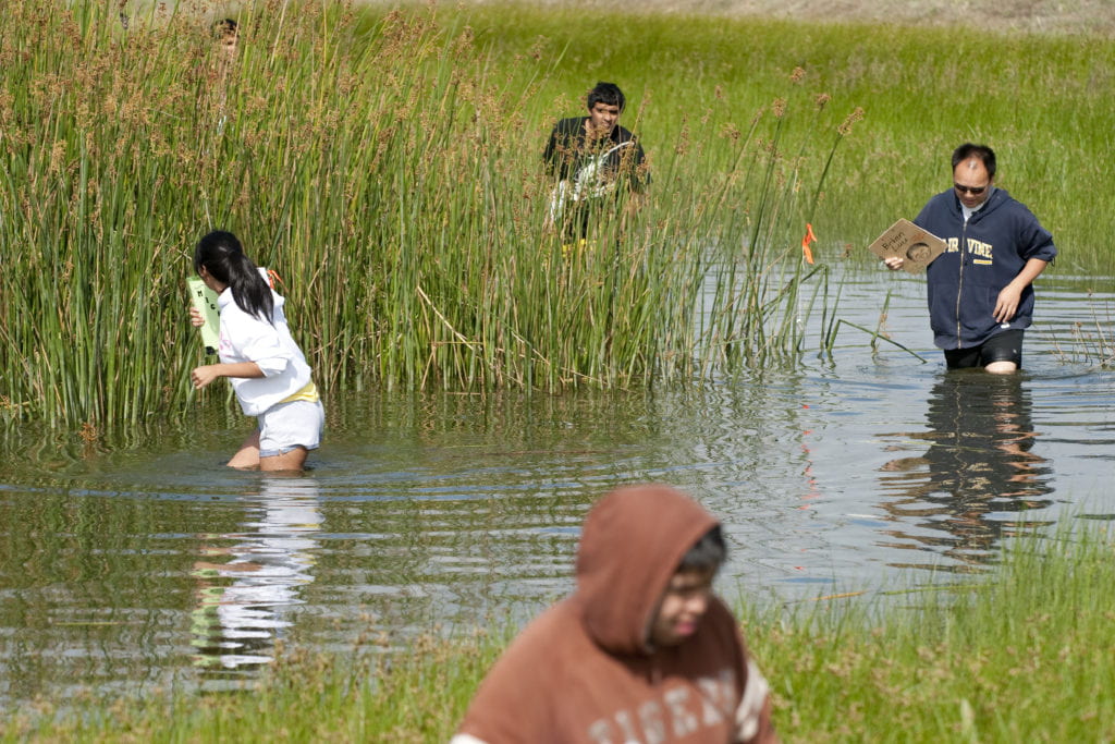 students wade through the San Joaquin Freshwater Marsh Reserve