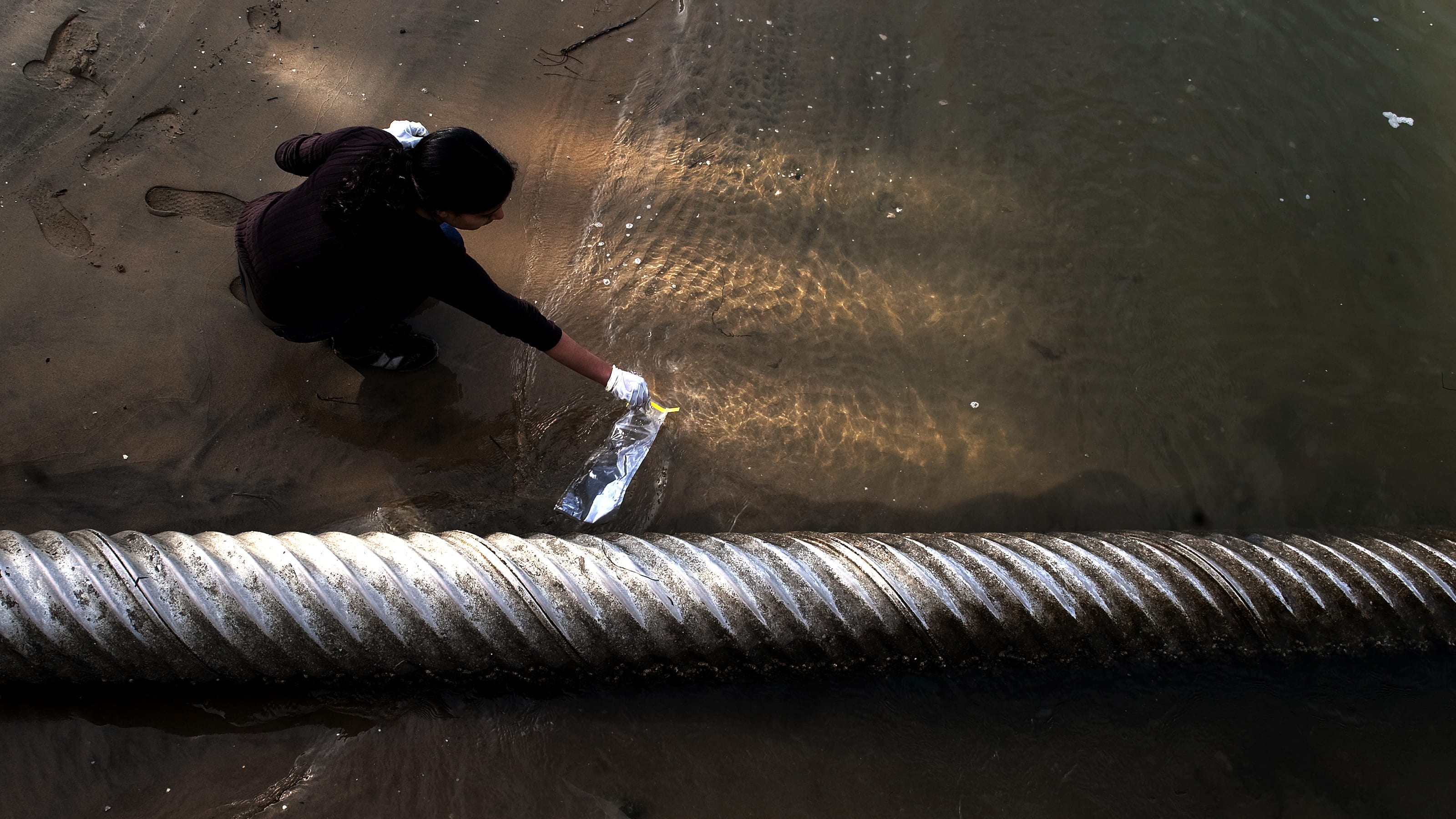 Researcher collecting tide samples