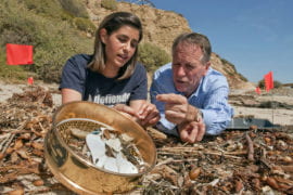 Fighting the ocean’s plastic pollution