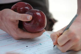 A student juggles apples while registering to vote