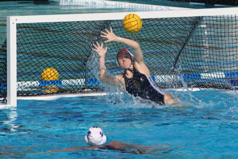 In first-ever survey, 36 percent of water polo players report concussions