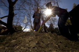 Soil will absorb less atmospheric carbon than expected this century, UCI-led study finds