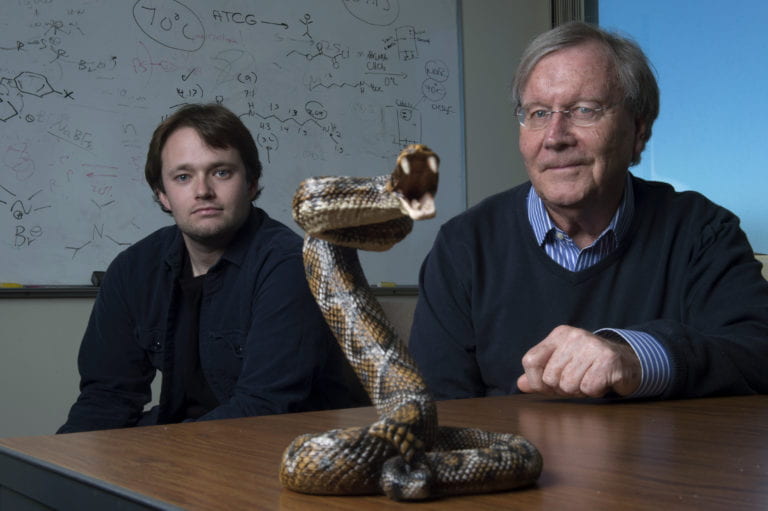 Snake bit? UCI chemists figure out how to easily and cheaply halt venom’s spread