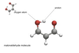 UCI chemist helps create tool that anticipates molecular actions