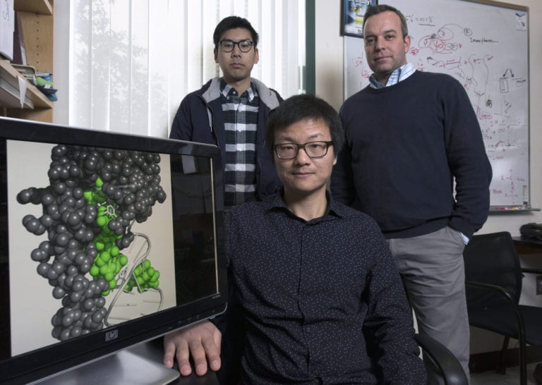 UCI scientists develop new chemical tool to study RNA structures inside cells
