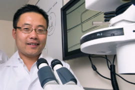 Nanotechnology treatment shows promise against multiple sclerosis
