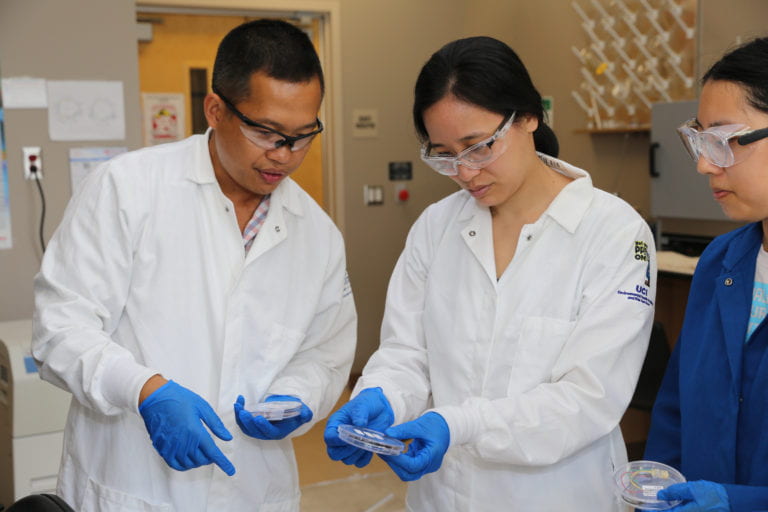 UCI engineers receive NSF grant to develop biosensors for measuring neurotransmitters