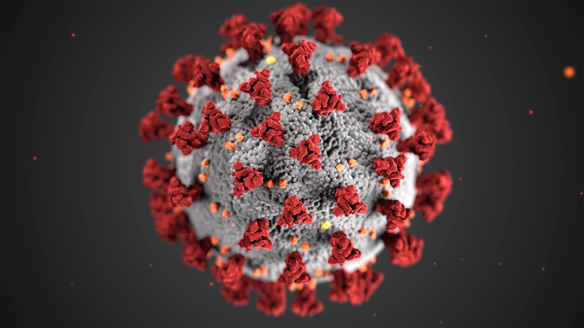 coronavirus (pictured)