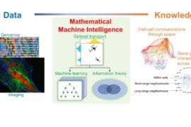 UCI mathematicians use machine intelligence to map gene interactions