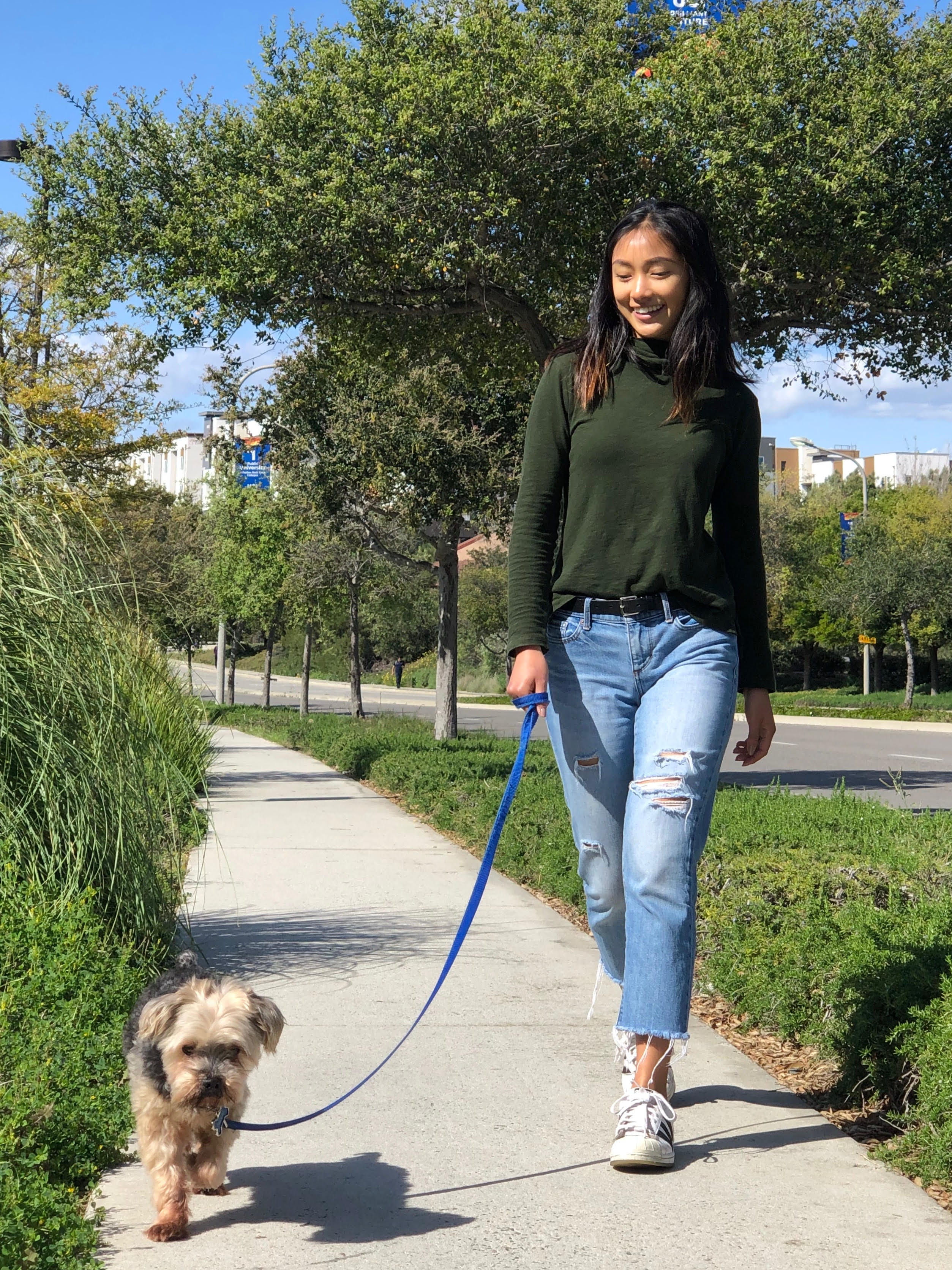 First-year medical student Emily Tom – a member of the volunteer coalition organized by first-year medical student Austin Franklin – walks a UCI Medical Center staff member’s dog.