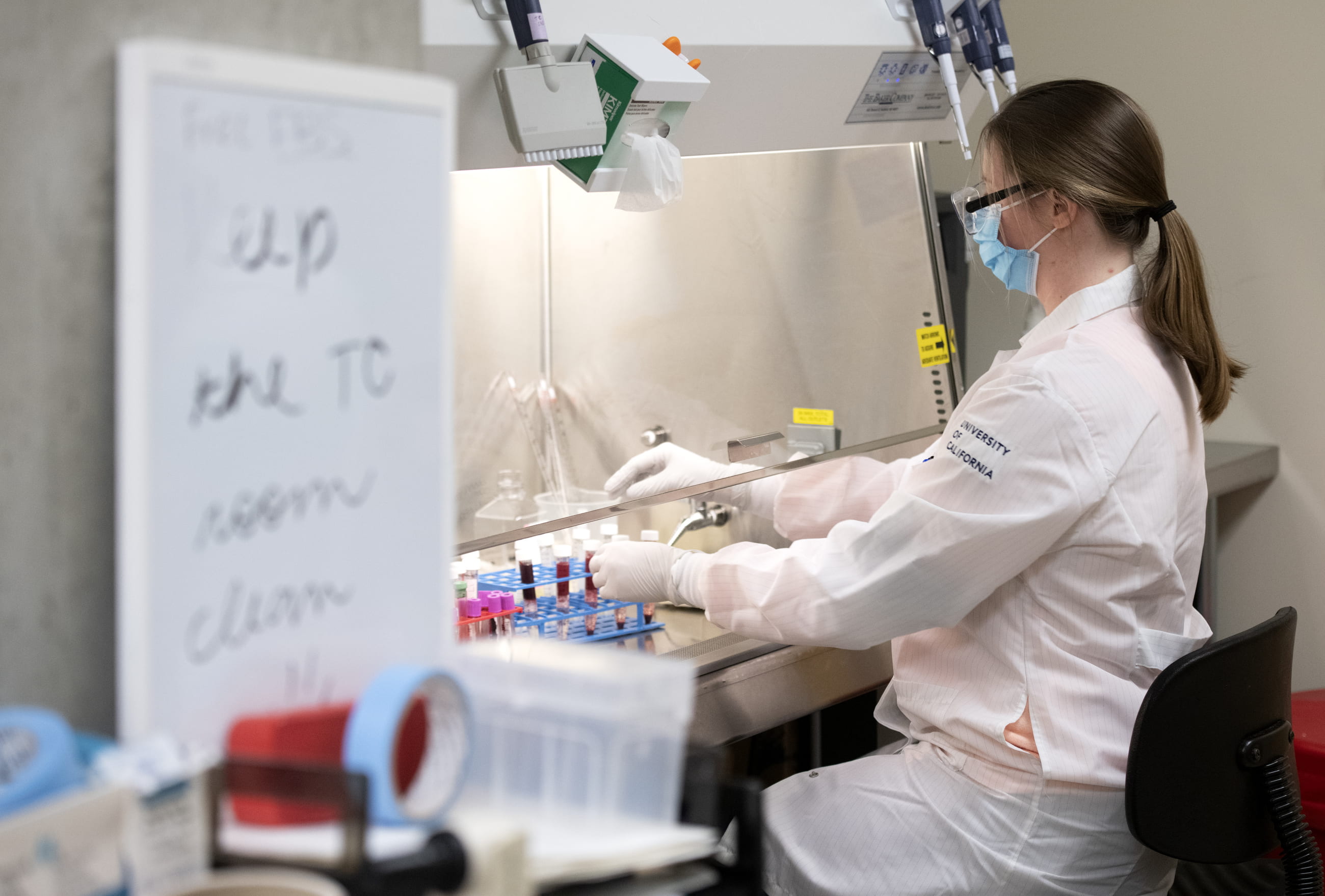 Ilhem Messaoudi, professor of molecular biology & biochemistry, (pictured in her lab) is part of a UCI research team using a CRAFT-COVID grant to study the prevalence of undetected COVID-19 among healthcare providers at the UCI Medical Center.