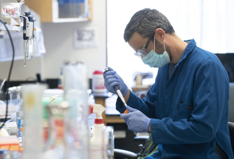 UCI researchers develop rapid antibody generation technology