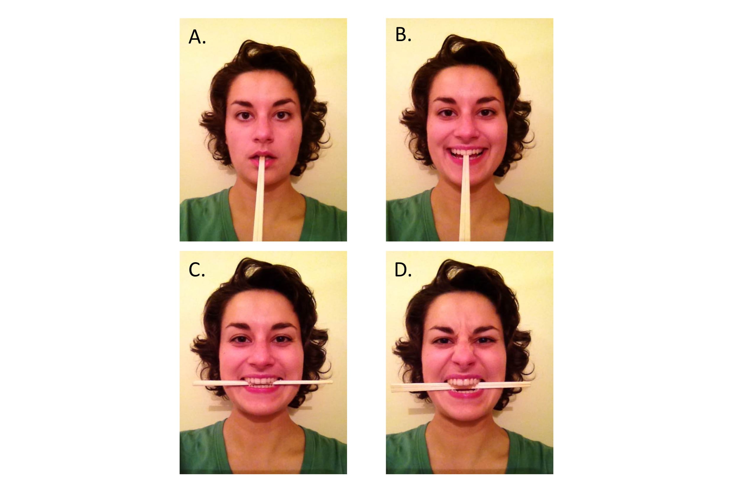 Chopsticks were used in the study to help subjects hold one of four facial expressions: A. neutral, B. non-Duchenne smile, C. Duchenne smile and D. grimace.