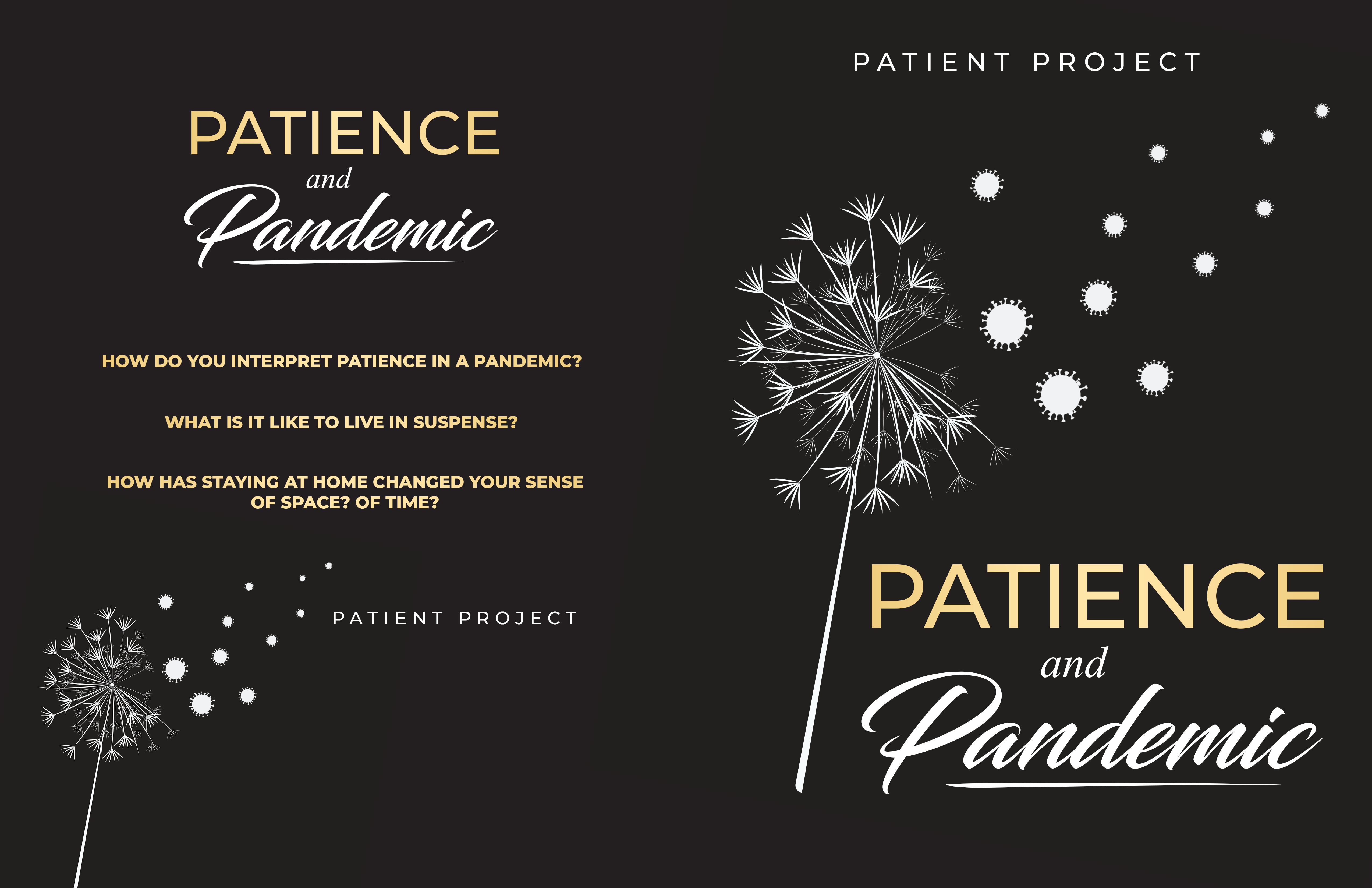 Book cover: Patience and Pandemic
