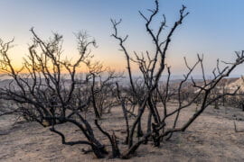 Greenhouse gas and aerosol emissions are lengthening and intensifying droughts