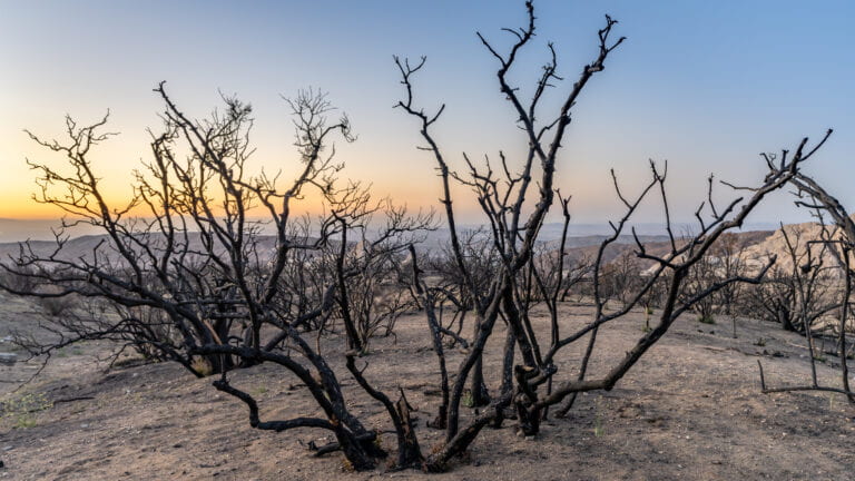 Greenhouse gas and aerosol emissions are lengthening and intensifying droughts