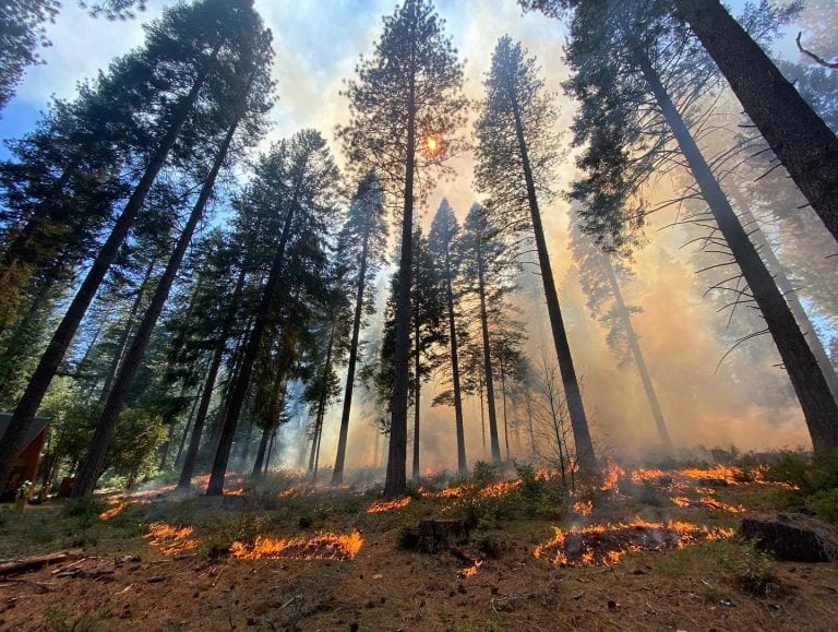Newswise: Human-triggered California wildfires more severe than natural blazes