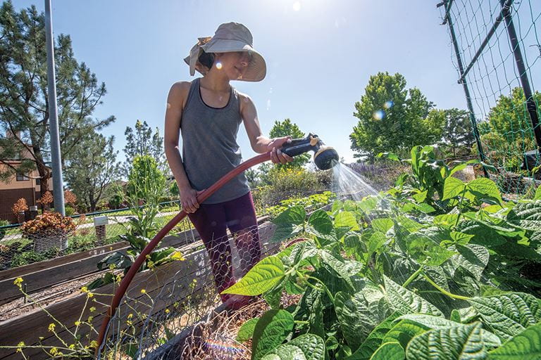 Undergraduate Estrella Ramos tends to the Arroyo Vista Ants in Your Plants Garden