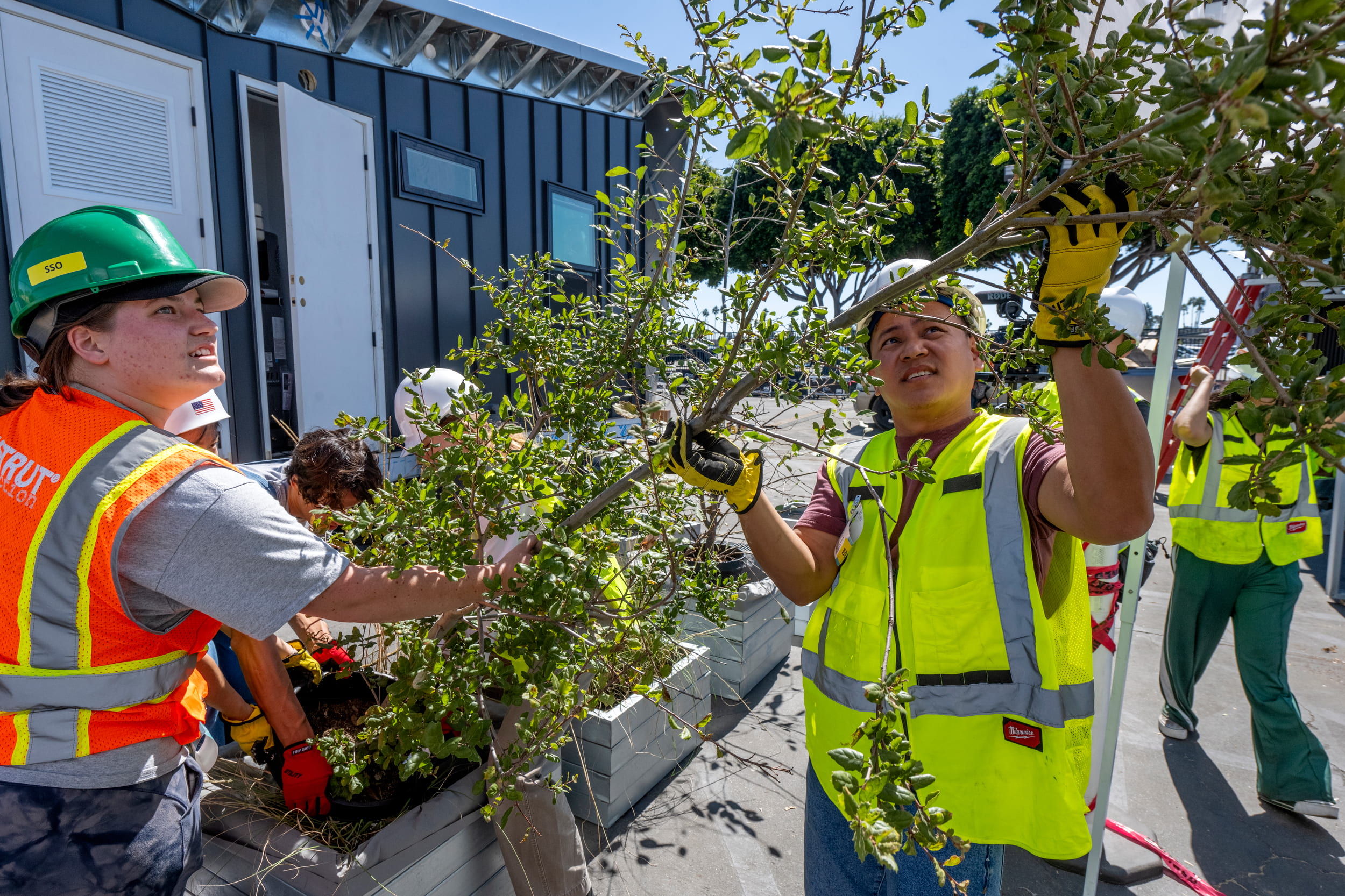 Workers in hard hats and yellow vests move a tree into position outside of a model home.