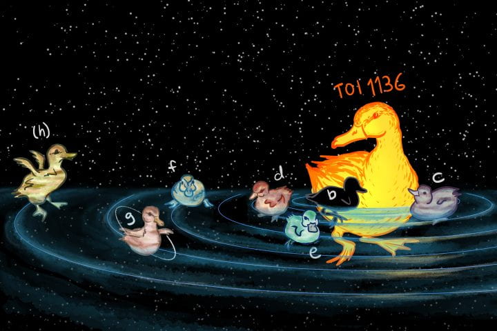 An artist's rendering of a solar system depicted as a group of ducklings orbiting their mother.