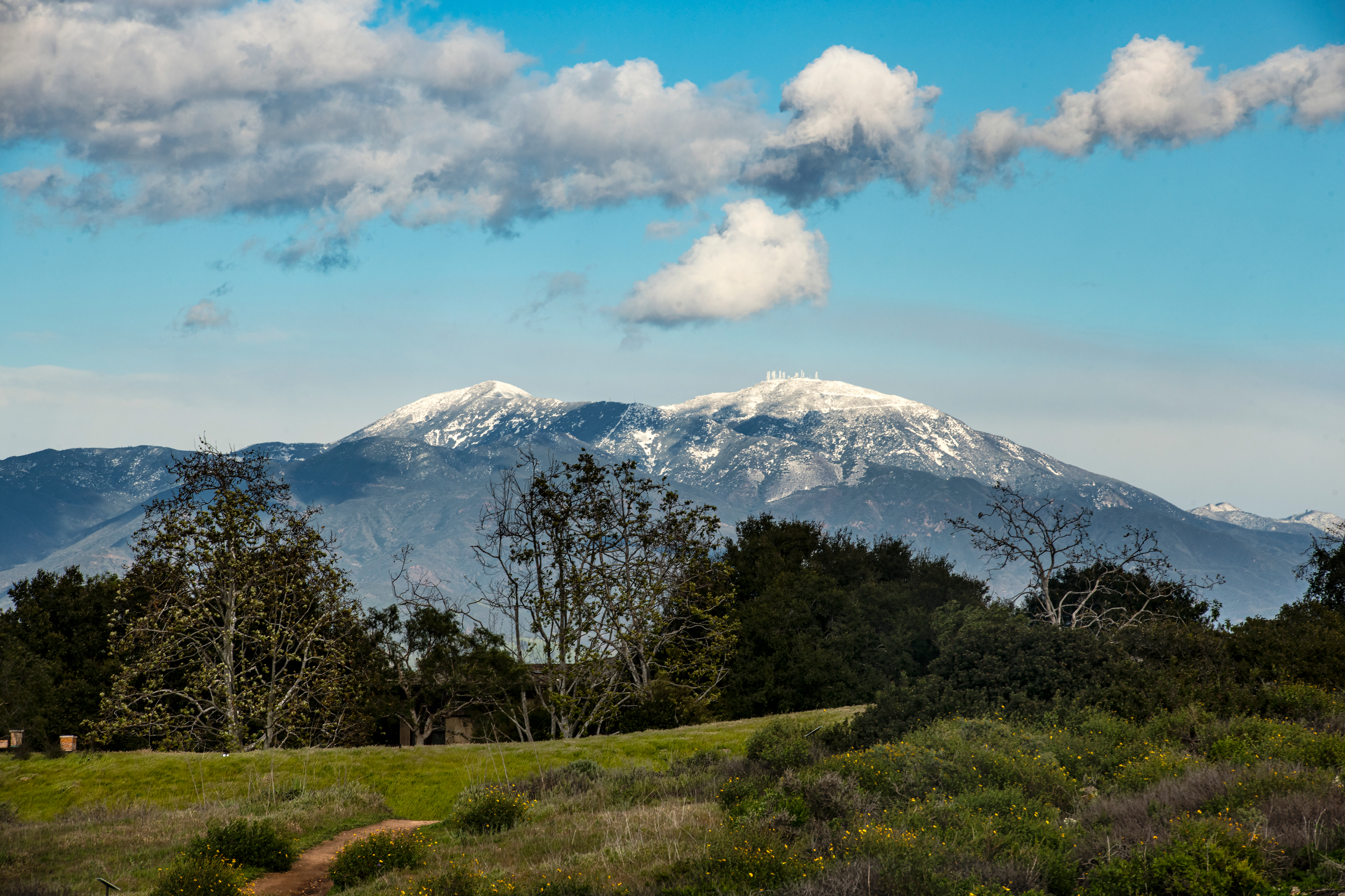 The UCI Ecological Preserve affords spectacular views, such as this one of a snow-capped Saddleback Mountain.