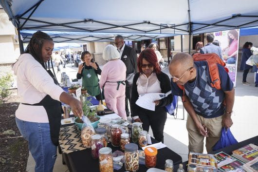A UC master gardener at one of the fair booths offers expert advice on using herbs and plants to promote health and well-being.