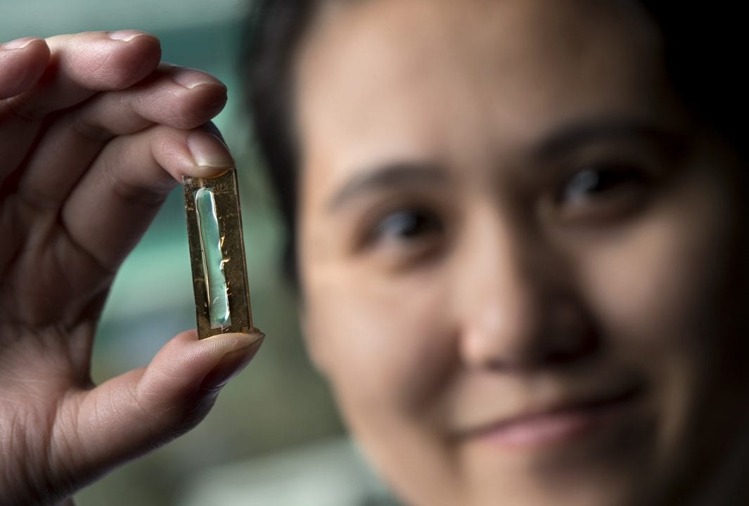UCI doctoral candidate Mya Le Thai has developed a nanowire-based technology that allows lithium-ion batteries to be recharged hundreds of thousands of times.  
Steve Zylius / UCI