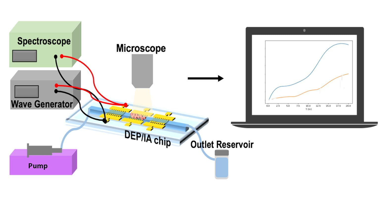 Researchers develop 'lab on a chip' for personalized drug efficacy monitoring | UCI News | UCI