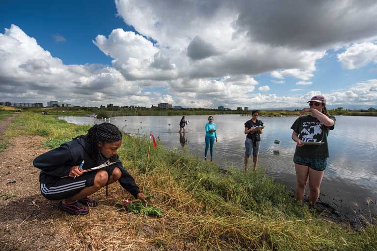 Over the years, the San Joaquin Marsh Reserve has provided many UCI students the opportunity for hands-on ecological research.
